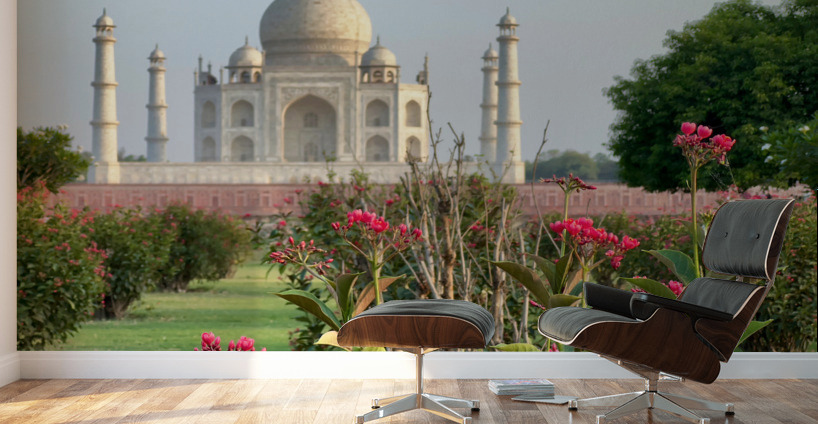 The Taj Mahal Collection 1 Wall Murals
