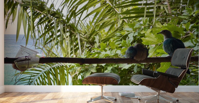 Bird Couple Koh Tao Thailand Wall Murals