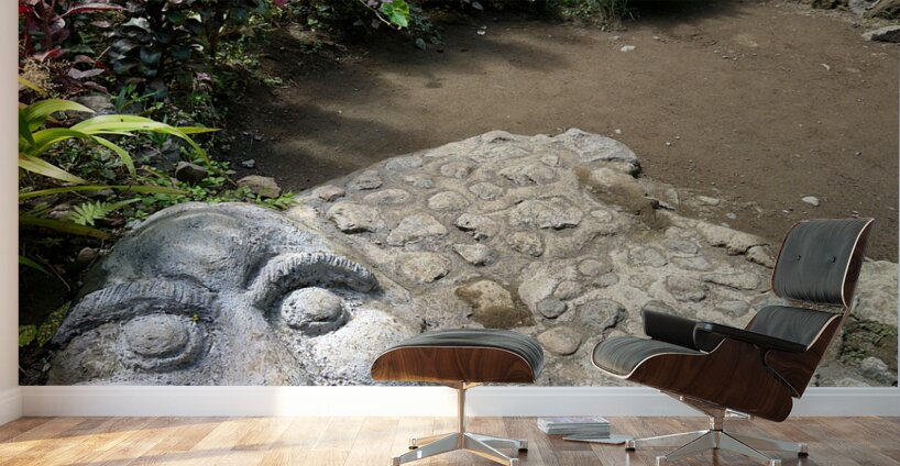 Face in the Ground Munduk Bali Wall Murals