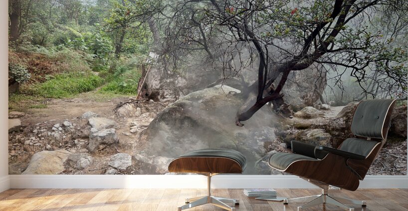 Cibuni Rengganis Crater Java Indonesia 5 Wall Murals