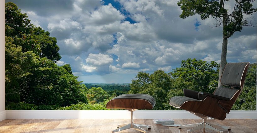 Kabili Sepilok Forest Reserve 1 Wall Murals