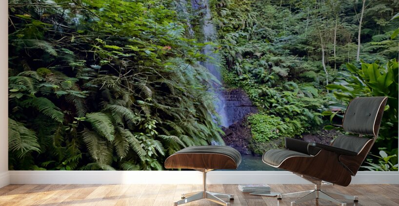Munduk Waterfalls Bali 1 Wall Murals