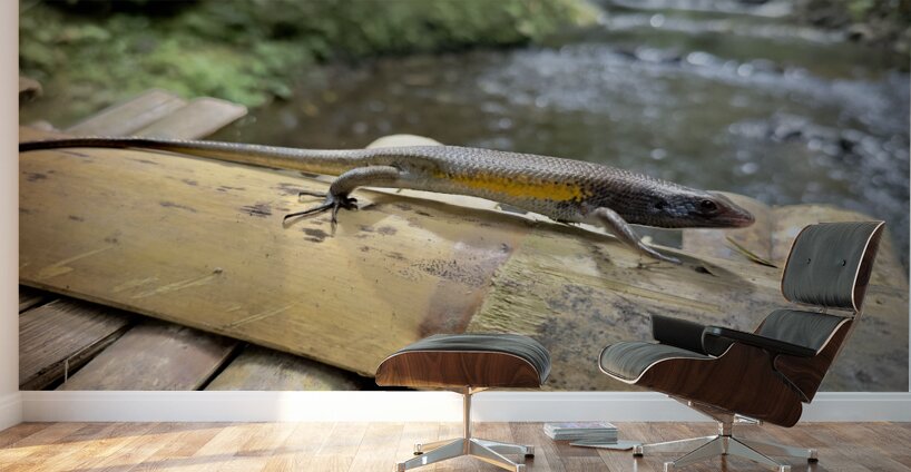 The Lizard Munduk Bali Wall Murals