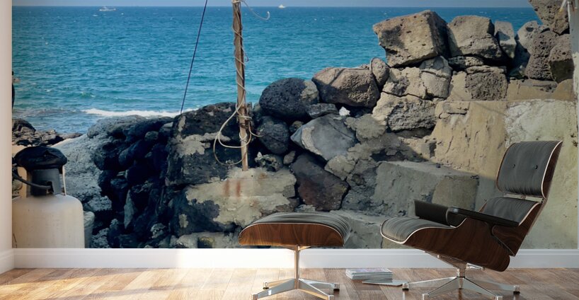 Behind the House Jeju South Korea Wall Murals