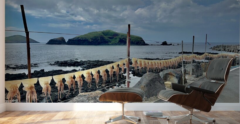 Squids on the Line Jeju South Korea Wall Murals