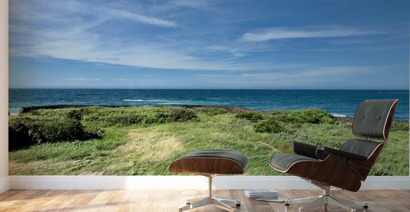 The Calm Jeju South Korea Wall Murals