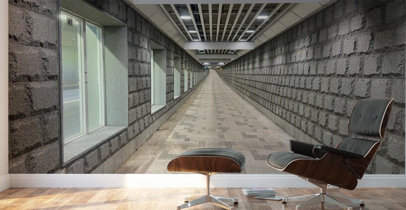 The Fancy Tunnel Seoul Korea Wall Murals