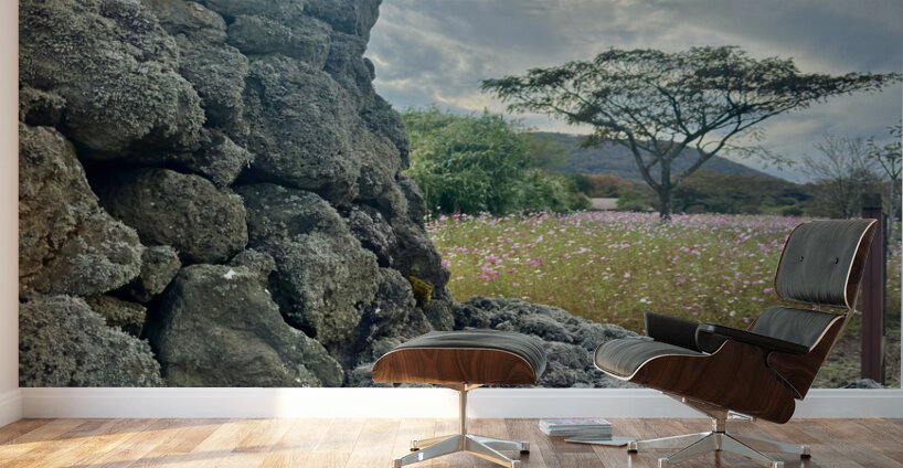 Stone Park Jeju South Korea 7 Wall Murals