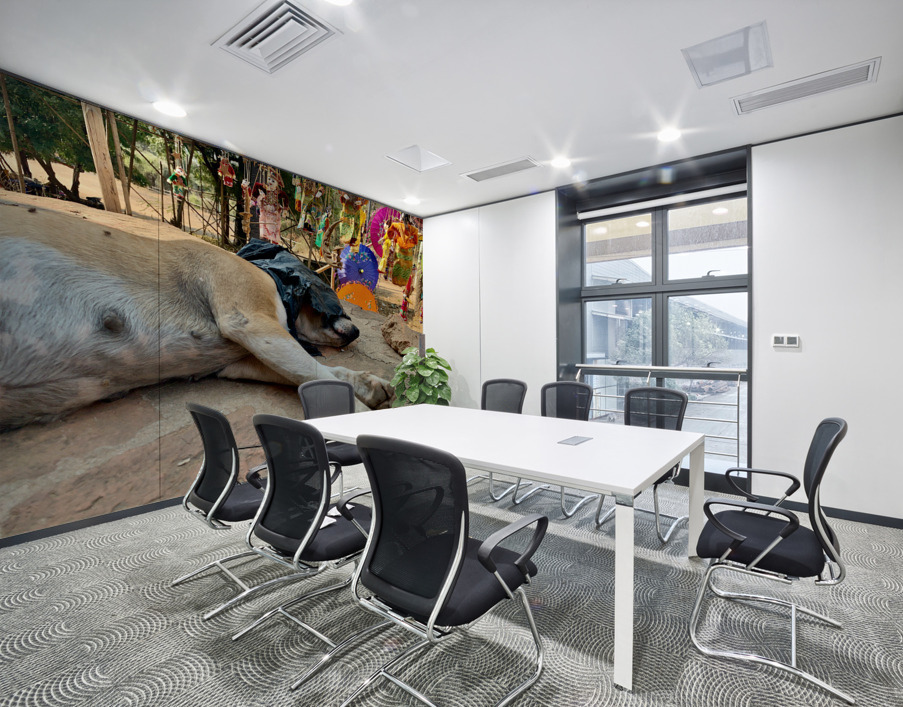 Doggie Afternoon Nap Wall Printing