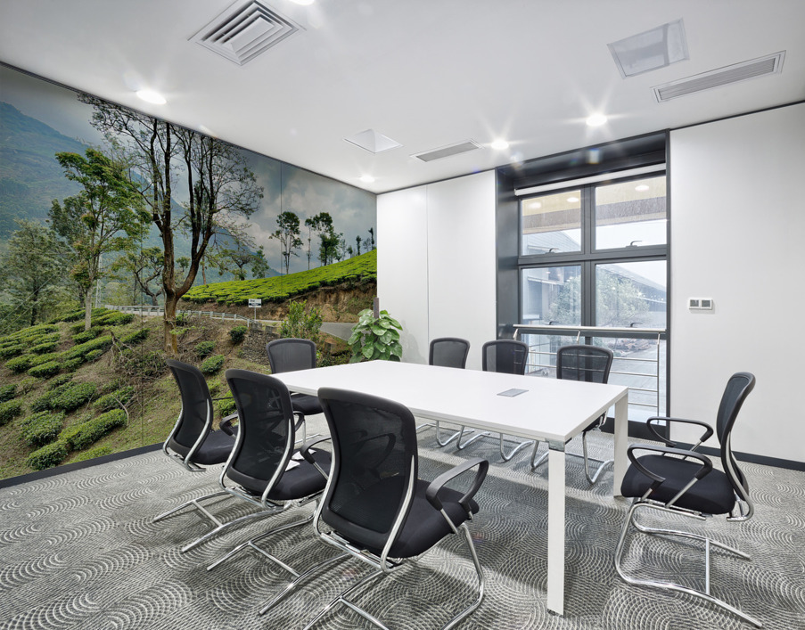 Drive Through Tea Plantations Wall Printing