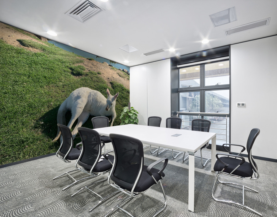 White Kangaroo Chilling Wall Printing