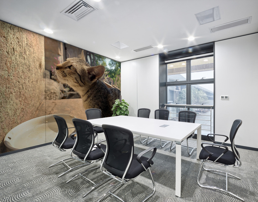 Cat Dreaming of the Future Wall Printing