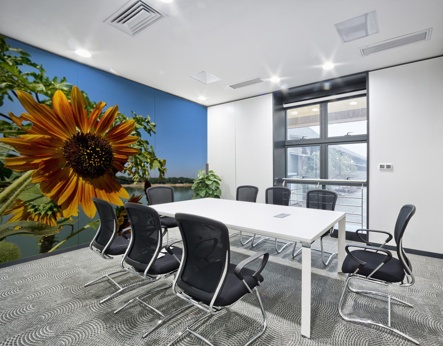 Sunflower View Wall Printing