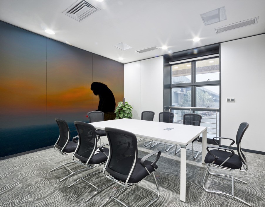 Thinking Monkey at Sunset Wall Printing