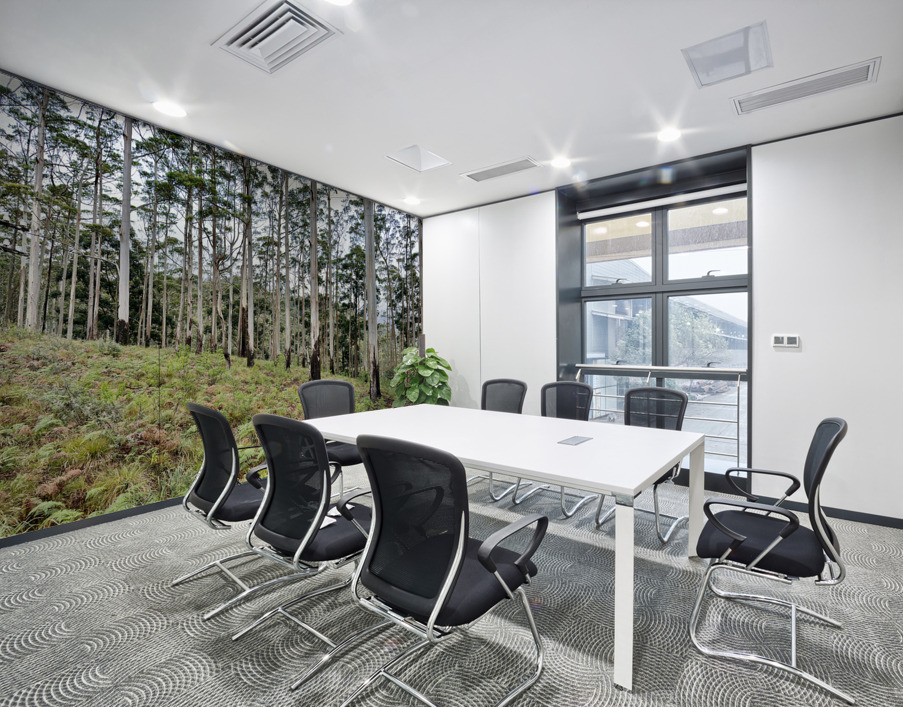 White Trees Wall Printing