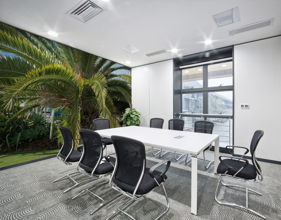 Baby Palm Tree Wall Printing