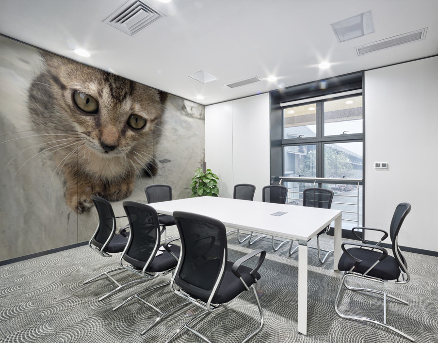 Cute Kitty 3 Wall Printing