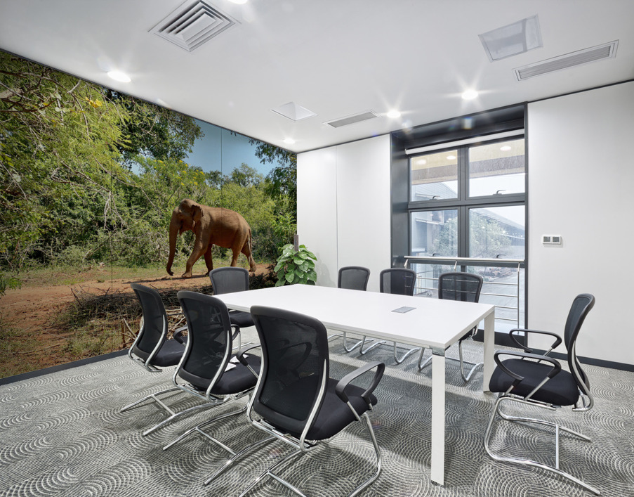 Elephant in the Wild Wall Printing