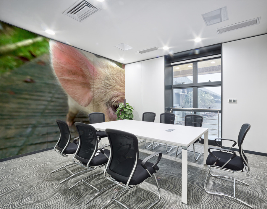 Pig Eye Wall Printing