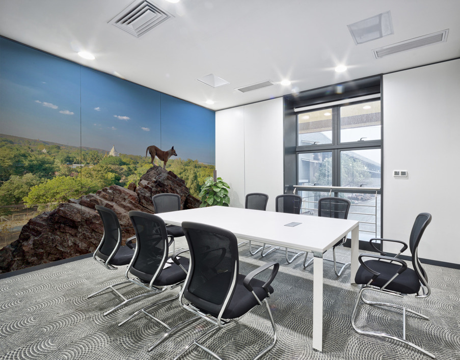 Downward Facing Dog Wall Printing