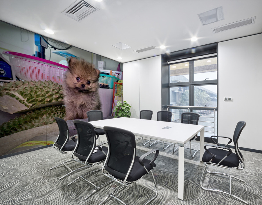 Furry Puppy Wall Printing