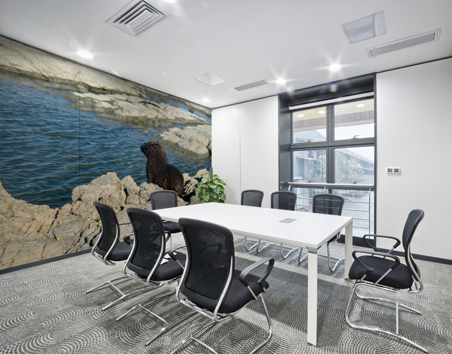 Seal Looking at a Distance Wall Printing