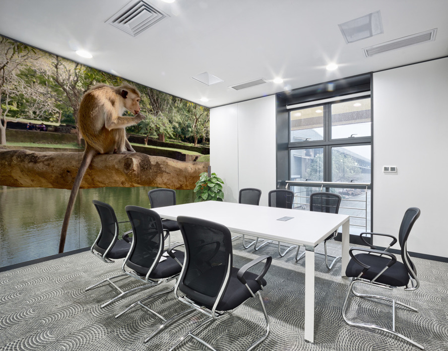 Monkey on a Branch Wall Printing