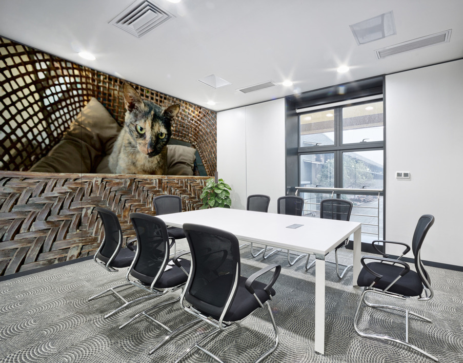 Dating a Cat Wall Printing