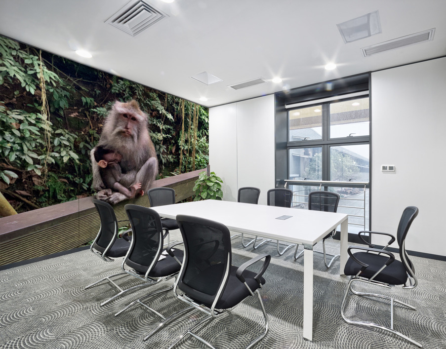 Mama Monkey Wall Printing