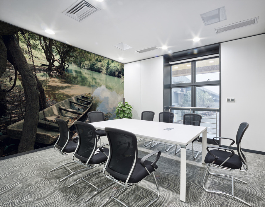 Abandoned Boat Wall Printing