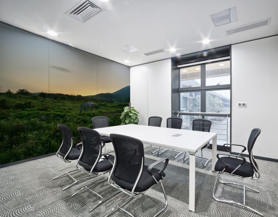 A Horse at Sunrise Jeju South Korea Wall Printing