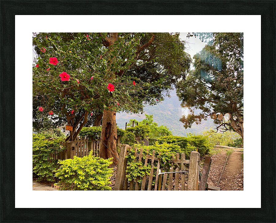 Red Flowers Gate Picture Frame print
