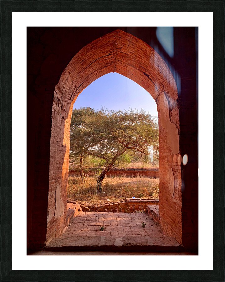 Tree by the window Picture Frame print