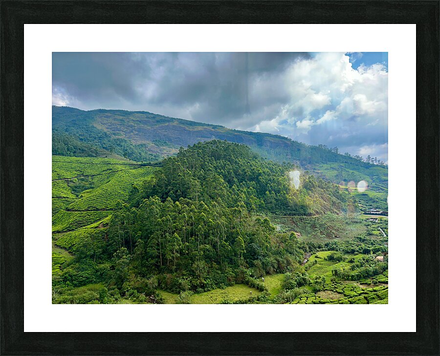Tea Plantations 6 Picture Frame print