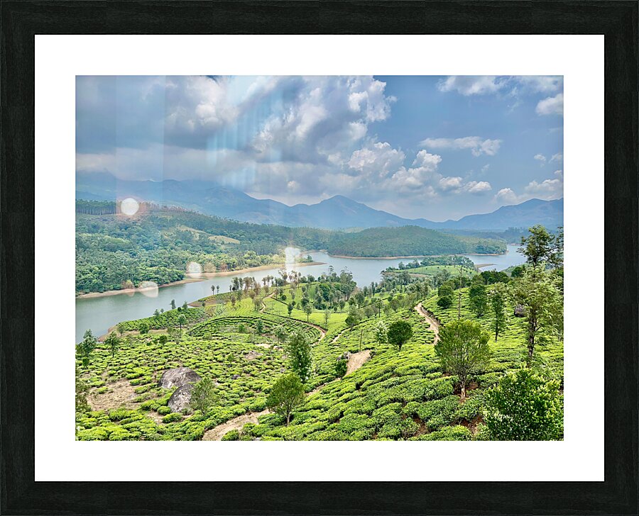 Beautiful River Through Tea Plantations Picture Frame print