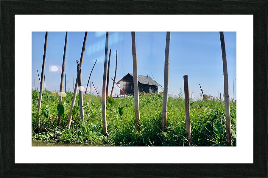 House behind the Bamboos Picture Frame print