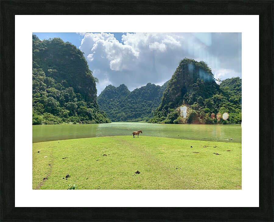 Lonely Horse Picture Frame print