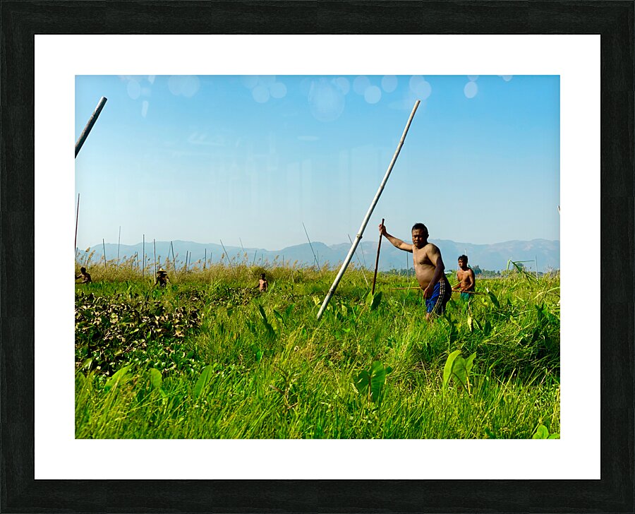 Working in the Field Picture Frame print