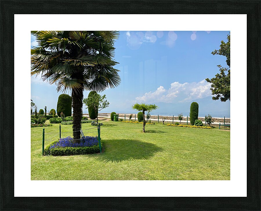 Garden in the Sky Picture Frame print