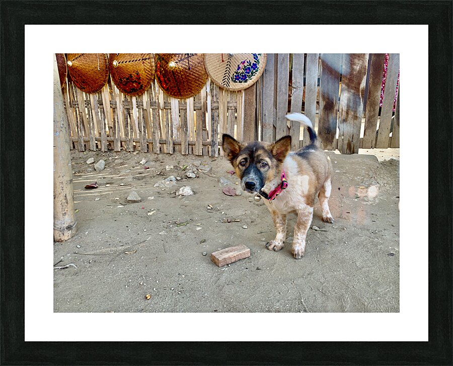 Sad Puppy Picture Frame print