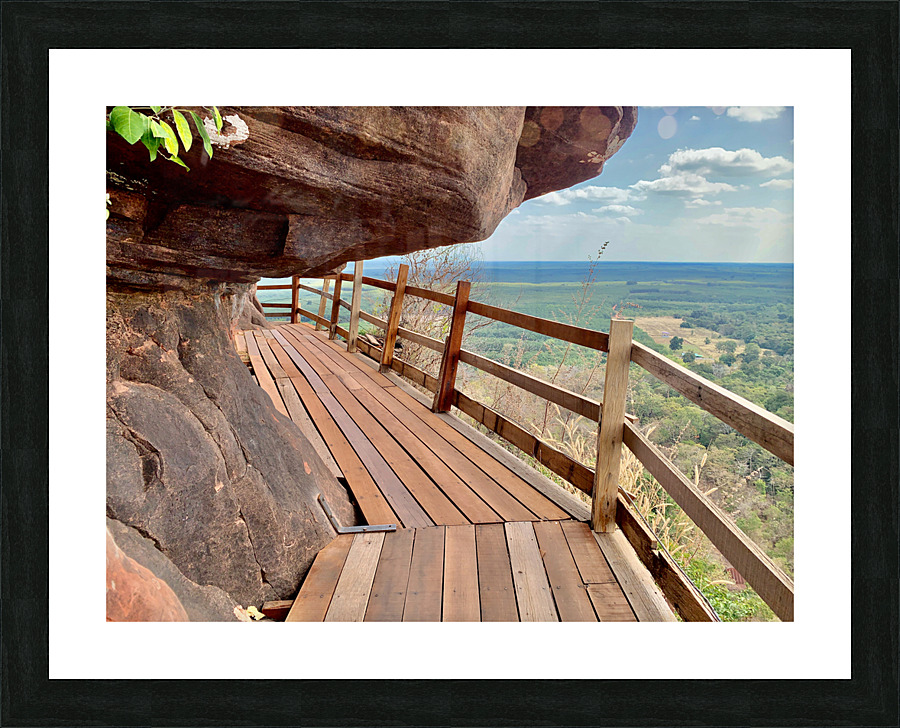 The Amazing Wat Phu Tok 1 Picture Frame print