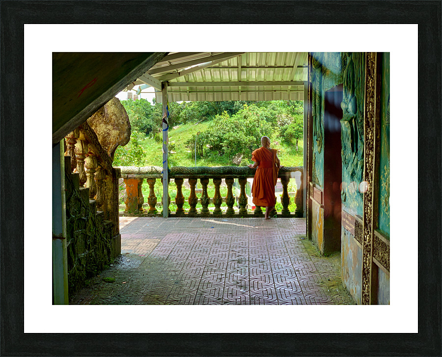 Monk Life Picture Frame print