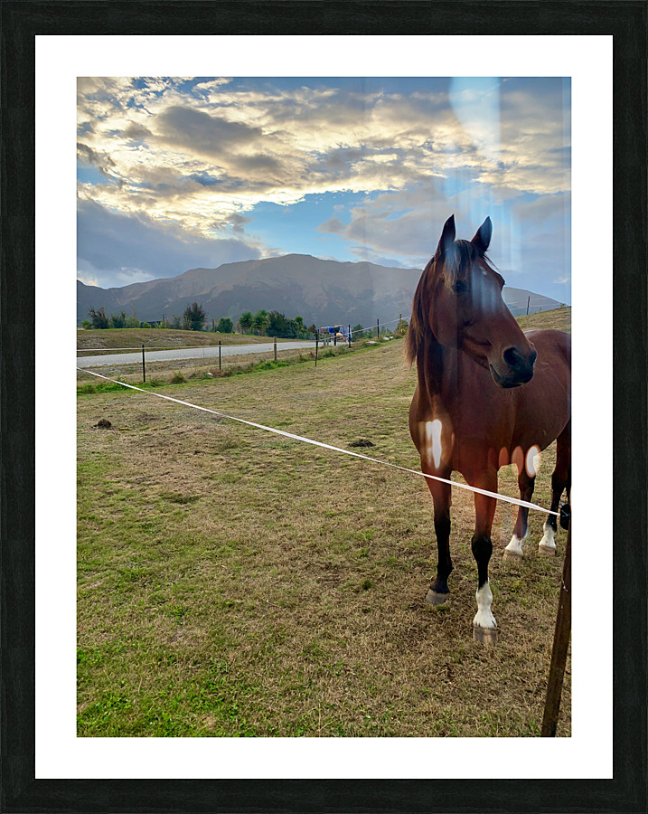 Horse by the Mountains Picture Frame print