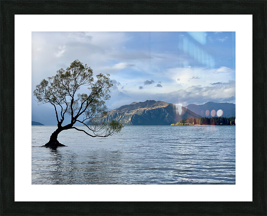 The Wanaka Tree New Zealand Picture Frame print