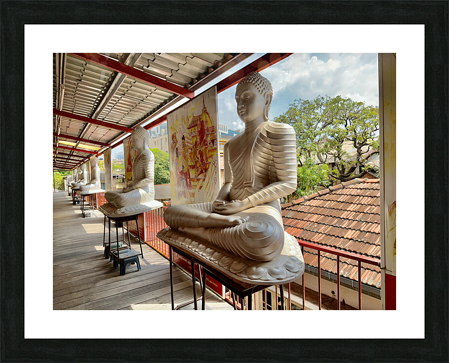 The White Buddhas Picture Frame print