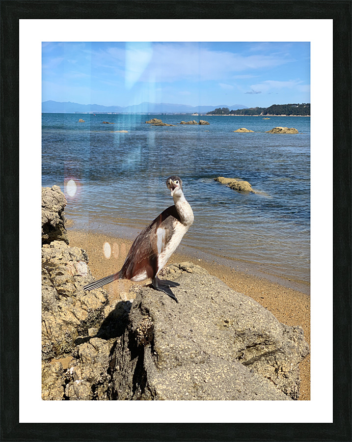 Angry Bird Picture Frame print