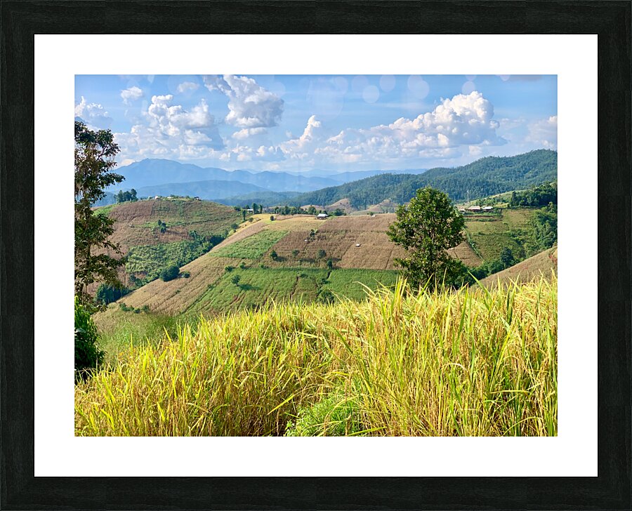 Amazing Landscape 3 Picture Frame print