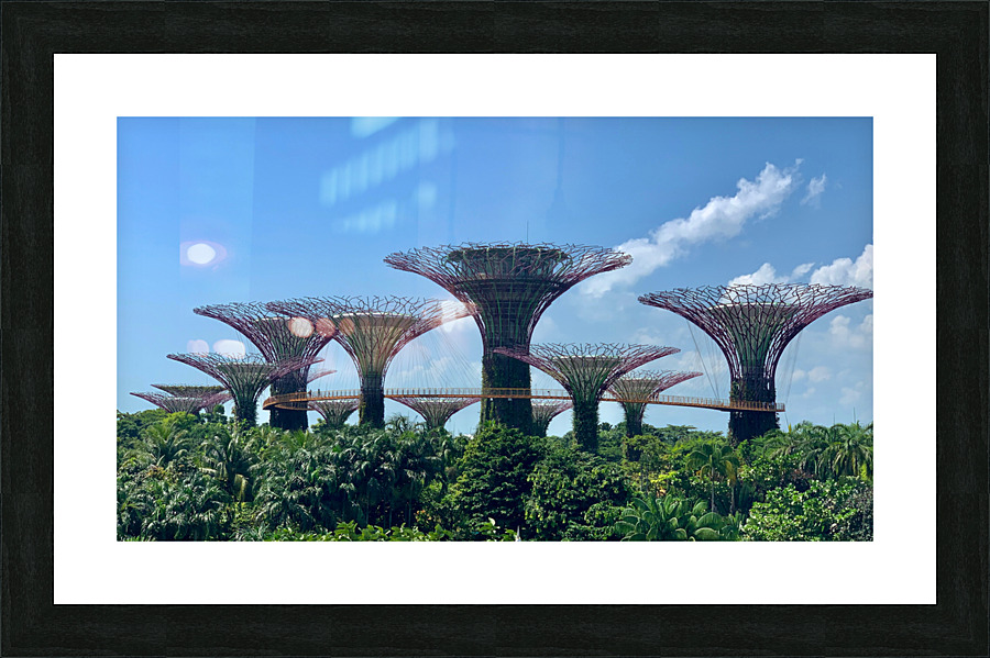 Gardens by the Bay Singapore Picture Frame print