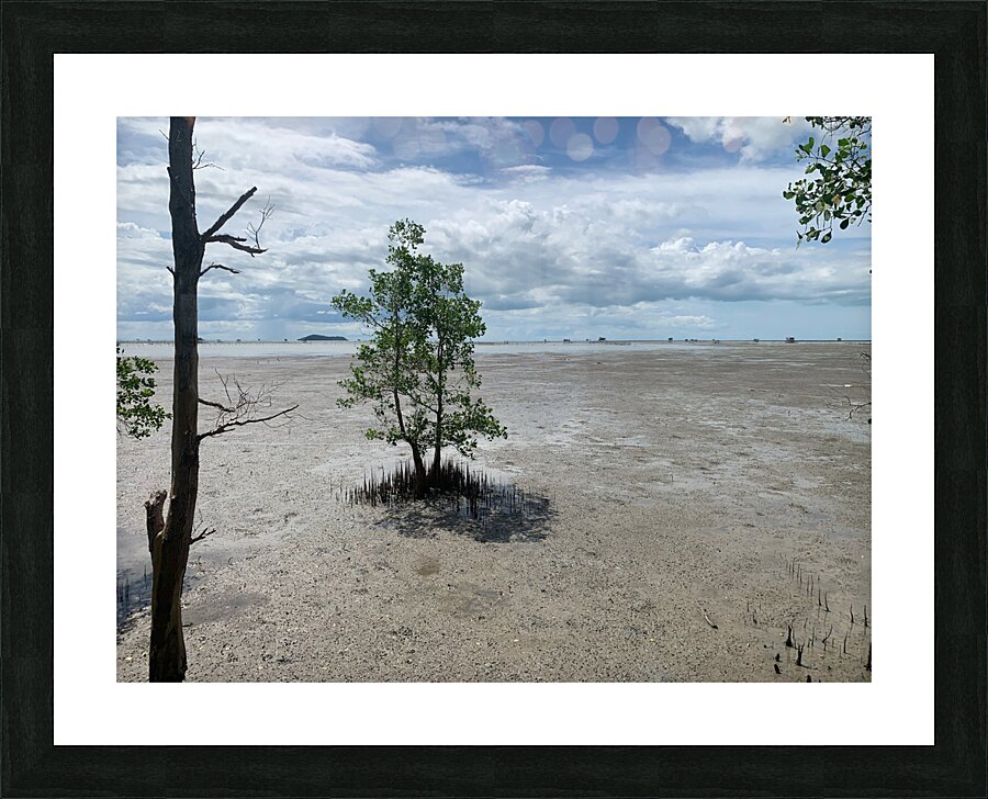 The Lonely Tree 2 Picture Frame print