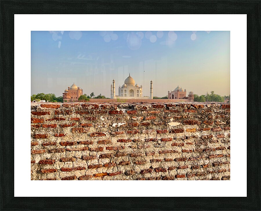 The Taj Mahal Collection 10 Picture Frame print